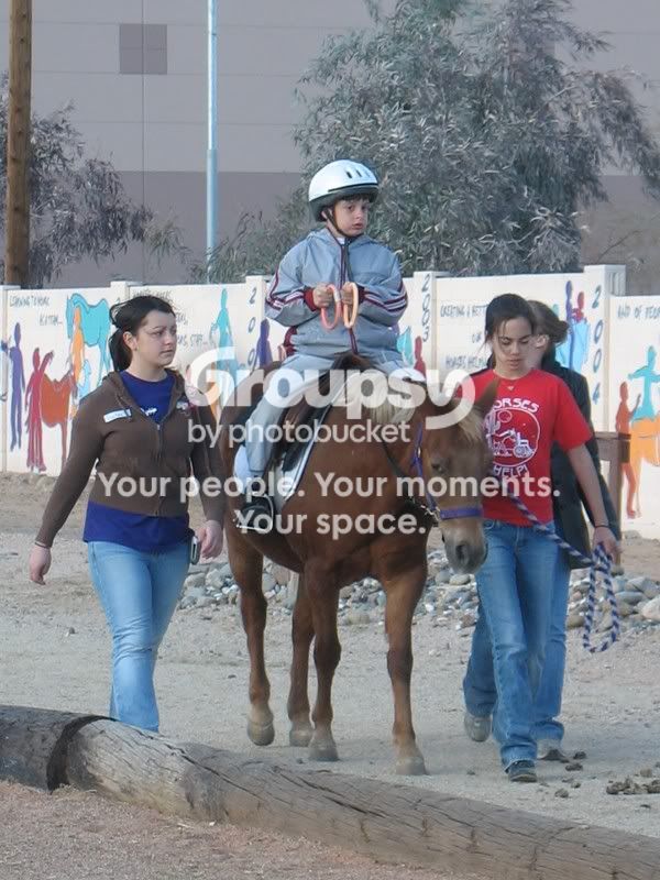 HorsesHelp067.jpg