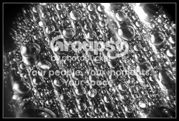 bubblesbwmacro.jpg