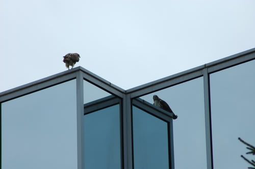 DSC_5173.jpg