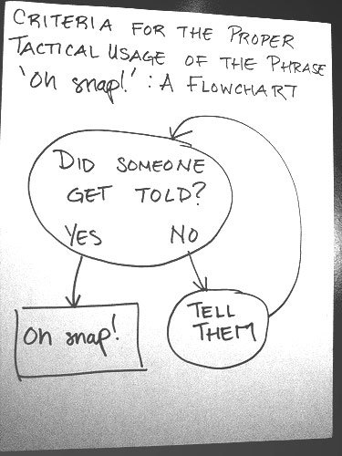 oh_snap_flowchart_sm_medium.jpg