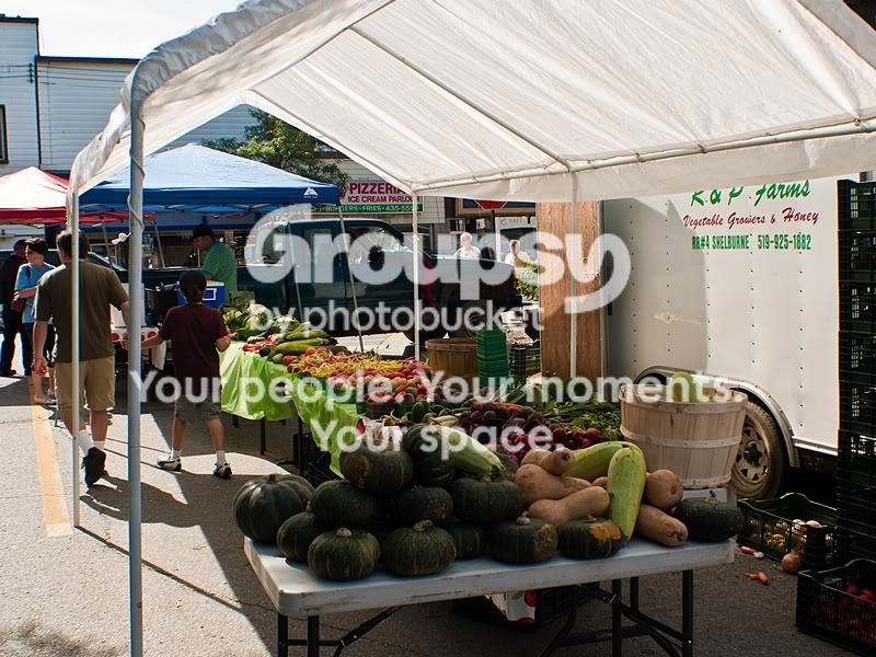 P1070882sm.jpg