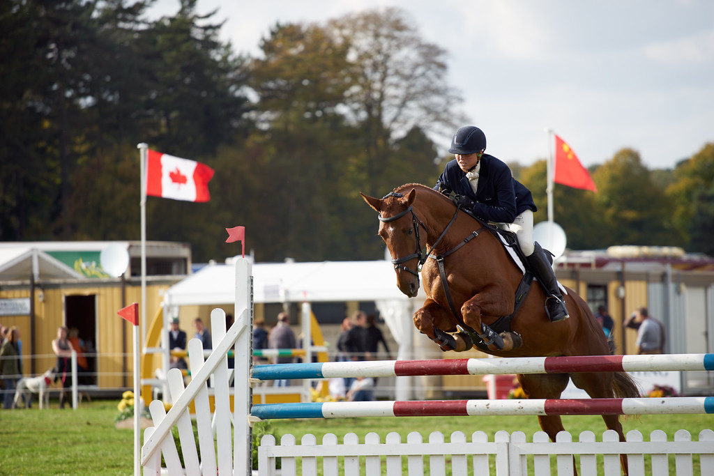 DSC01556-XL.jpg