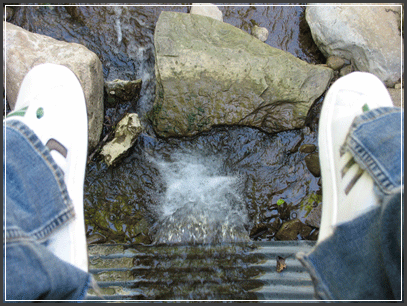 Hanging_in_Natures_Balance_by_Wibgette.gif