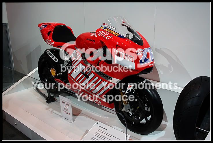 duc.jpg