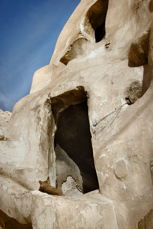 tunisian_barn_01.jpg