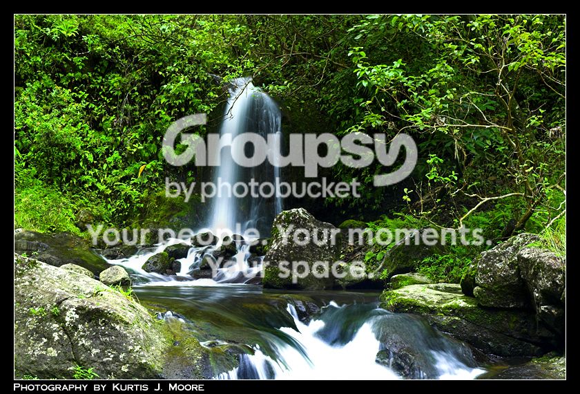 DSC_5685-01copy.jpg