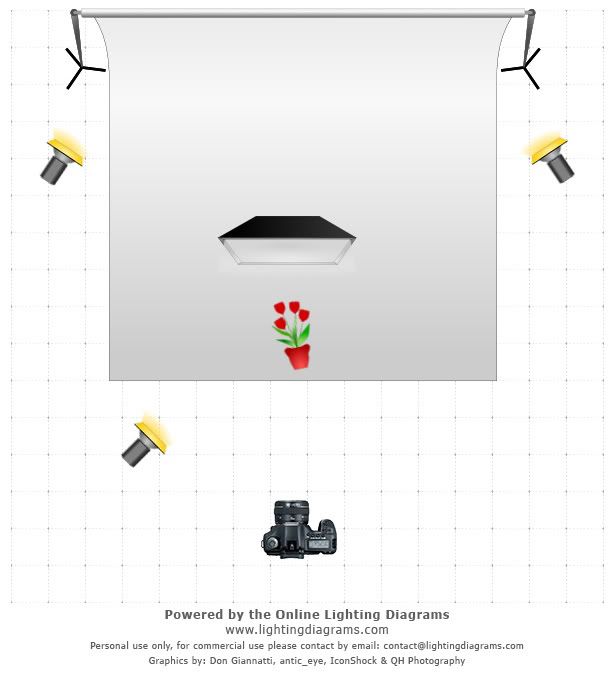 lighting-diagram-1326927580.jpg