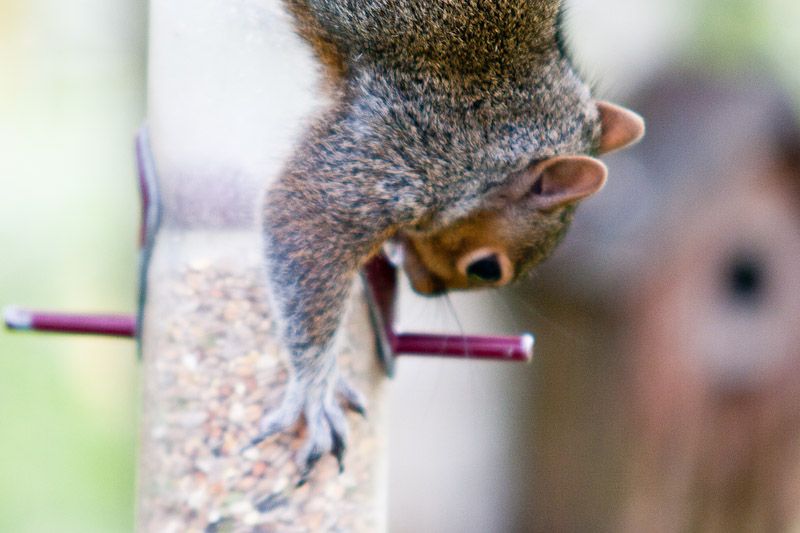 191010squizzle7.jpg