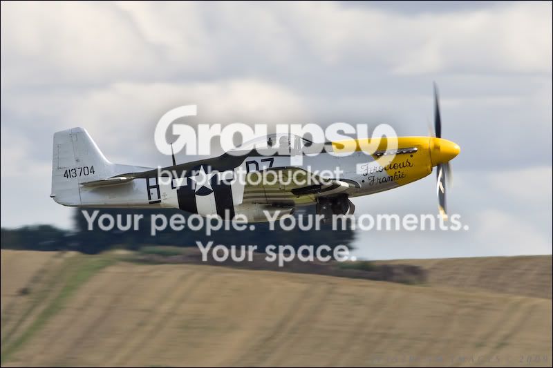 P513.jpg
