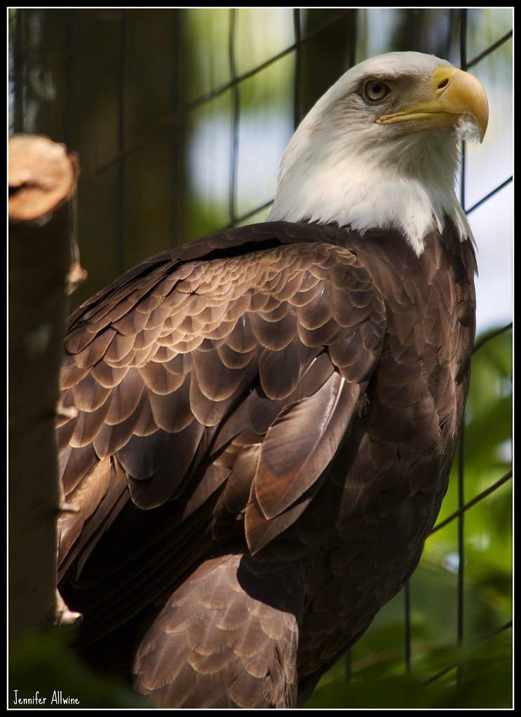 5792073366_b360853eb9_b.jpg