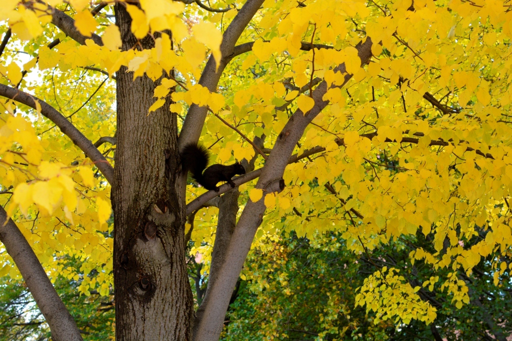 bc-mi_11-2013_30.jpg