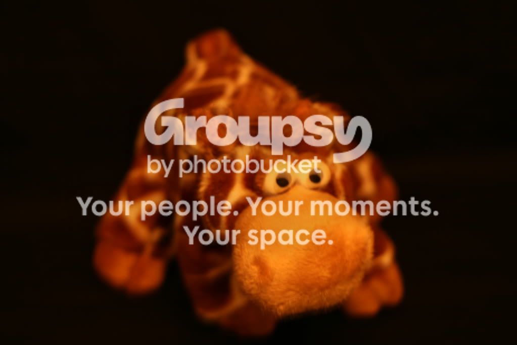 flashset008.jpg
