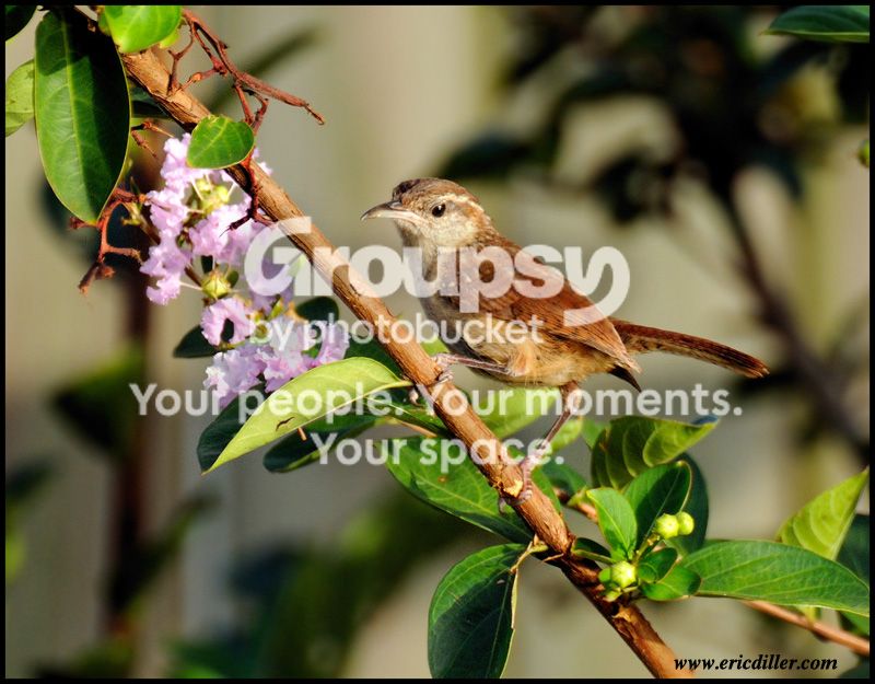 PIC_8070copy.jpg