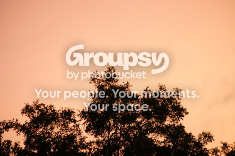 sonyalphapics073.jpg