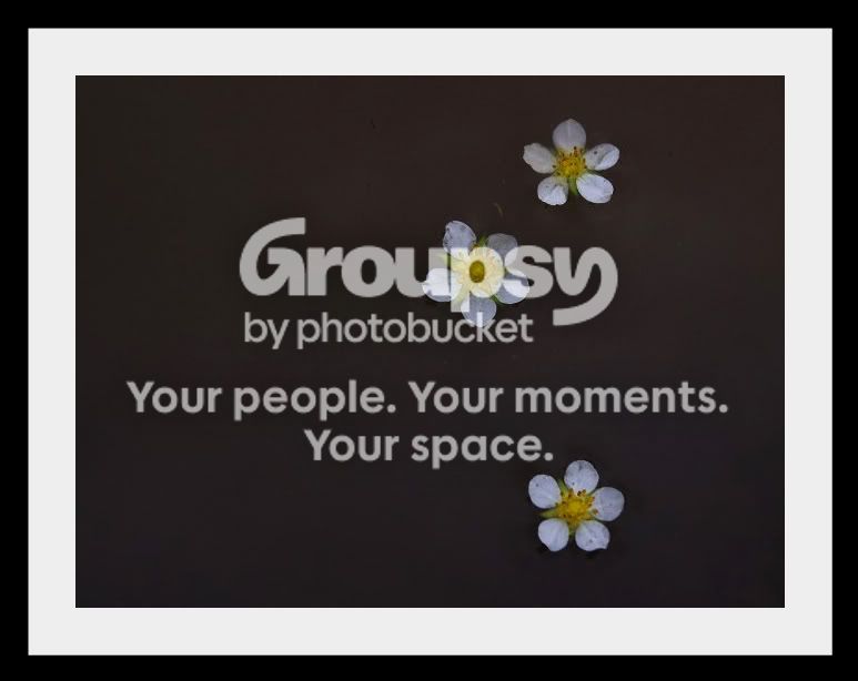 100_80153flowersinadarkpuddle-1.jpg