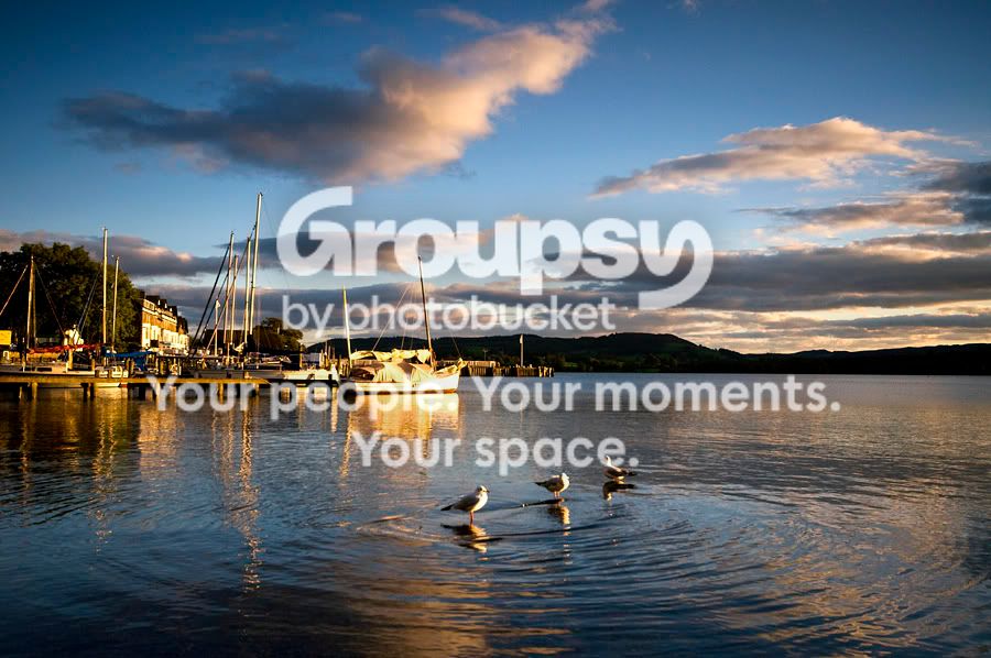 birdsboat.jpg