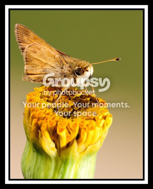 2008-07-19_6web.jpg