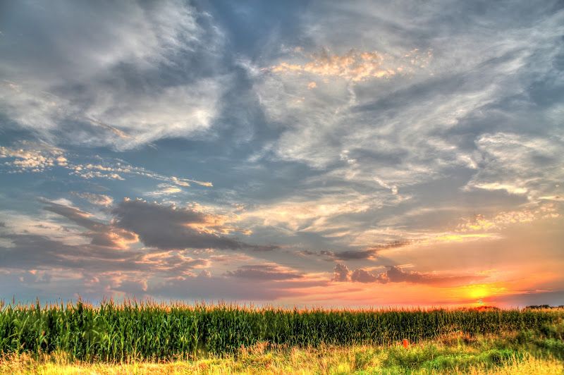 IMG_5931_2_3_tonemapped.jpg