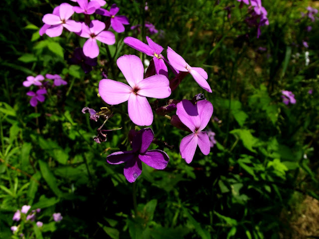 DSCF3122.JPG