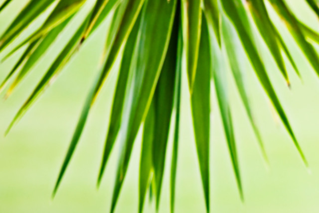 6279367184_90582d9d94_z.jpg