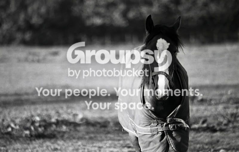 img021-pp-r.jpg