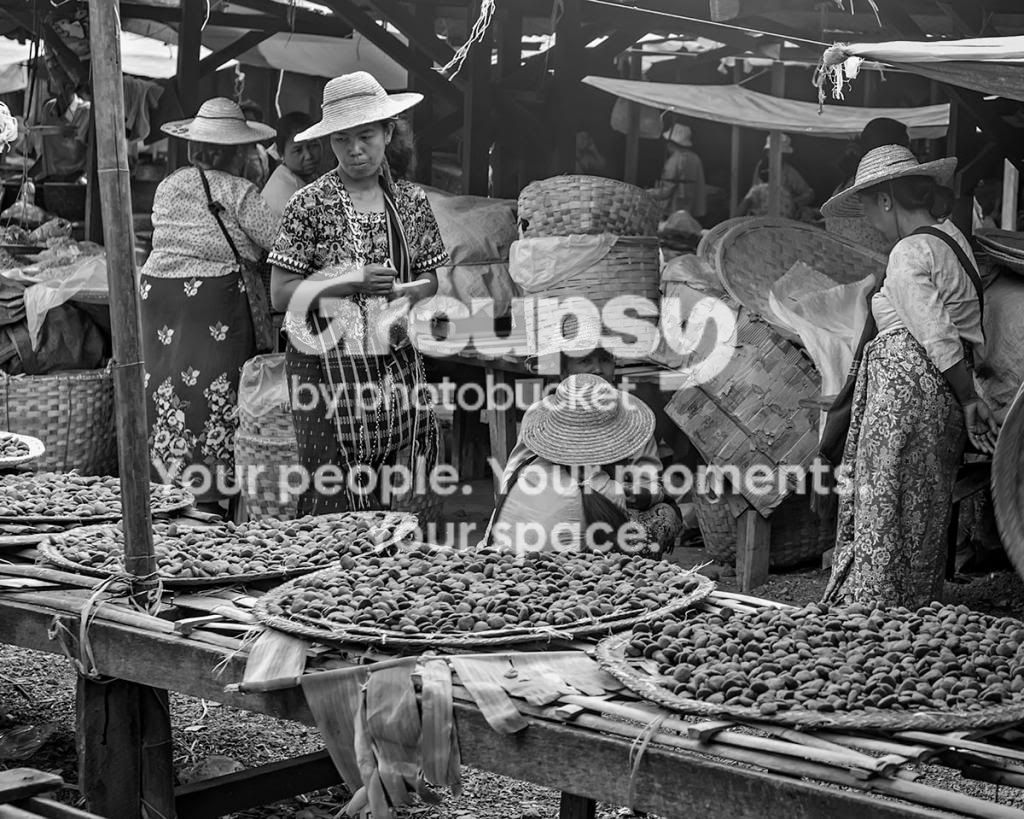 _0791566-Editbw.jpg~original