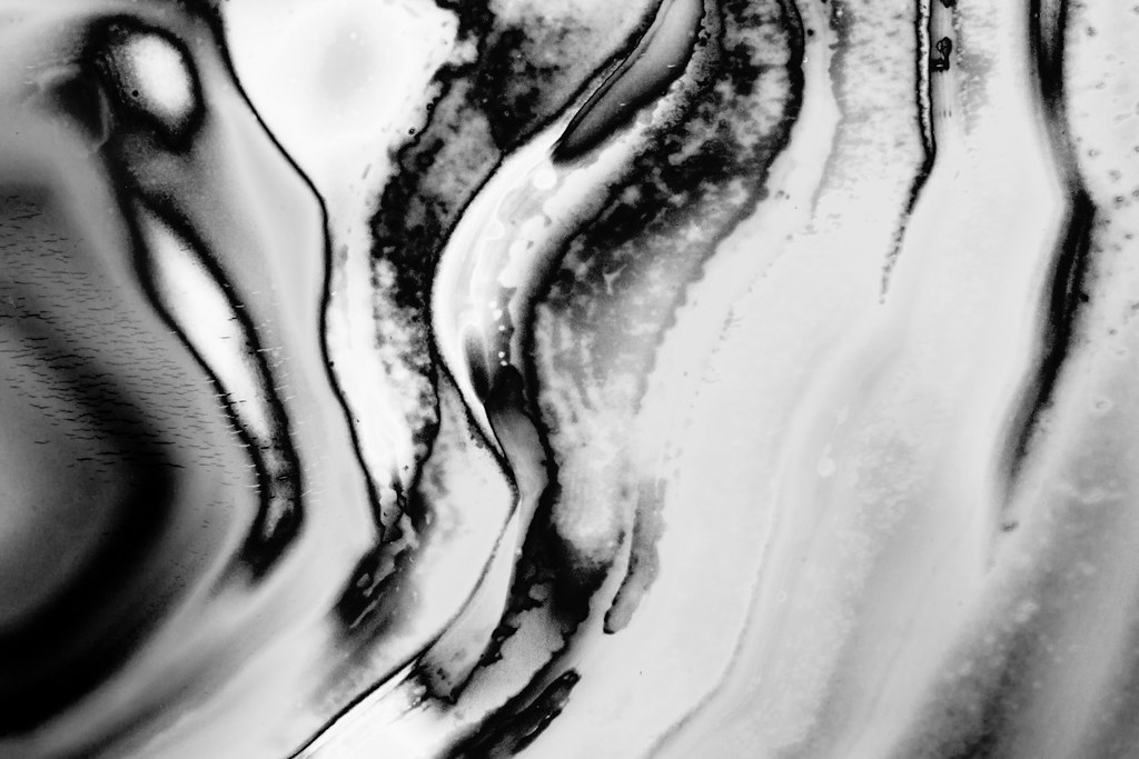 4831056096_a8a543ca11_b.jpg