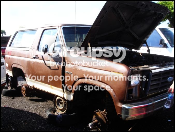 bronco.jpg