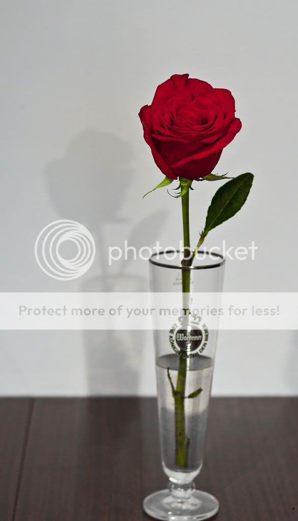 mothersdayrosenatural.jpg