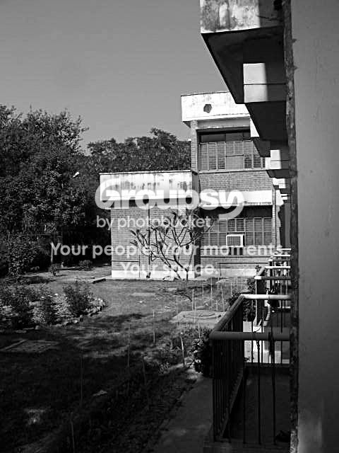 3-Backyard.jpg