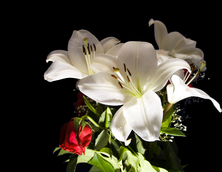Bouquet_I_by_Noxire.jpg