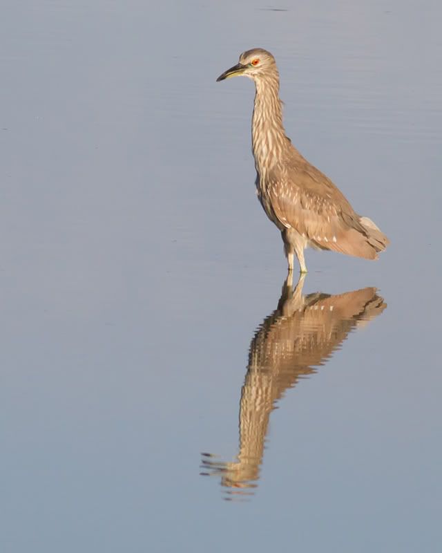 IMG_8642-Edit-Edit.jpg