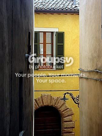 yellow-1.jpg