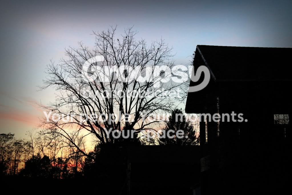 EditedNightsky.jpg