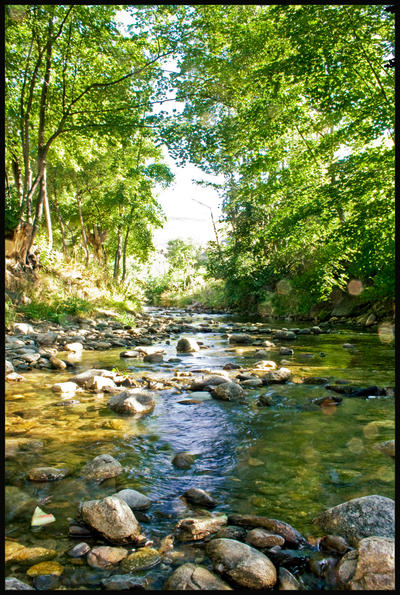 Estevar_Stream_by_mdcrisp2000.jpg