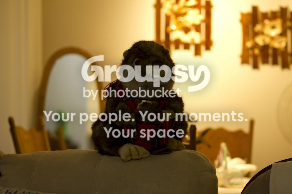 IMG_3593_zps87e8b4ec.jpg