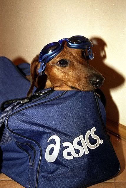 17_862_2294-max.jpg