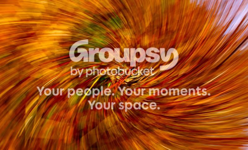 spin.jpg