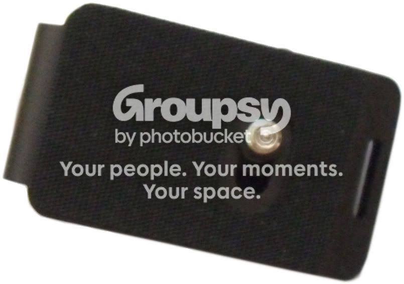 doublestrap4.jpg