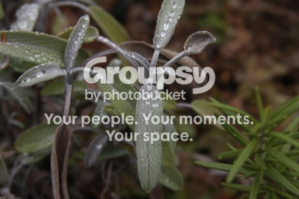 outdoors009.jpg