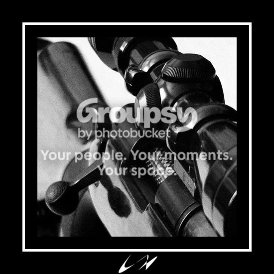 bordergun1.jpg