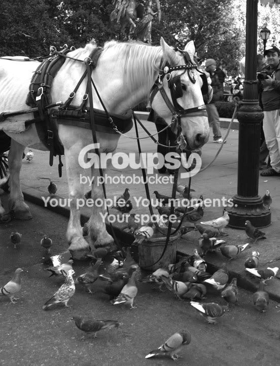 IMG_6892BWlr.jpg