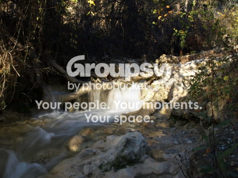 PA112378.jpg