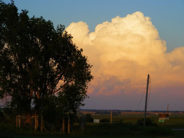 Mypictures0202.jpg