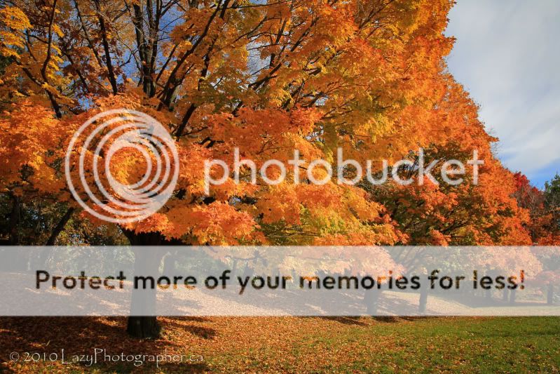 FallColours2010-014-EDITED.jpg