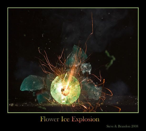 Flower-ice-explosion-8786.jpg