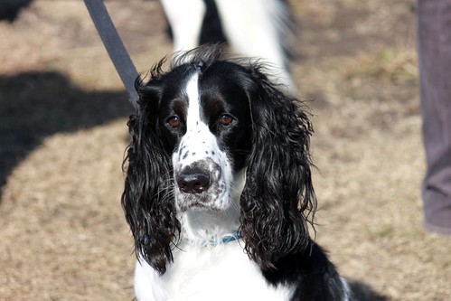 4197886197_f45ed7ac9d.jpg