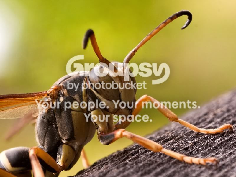 P1070968sm-1.jpg