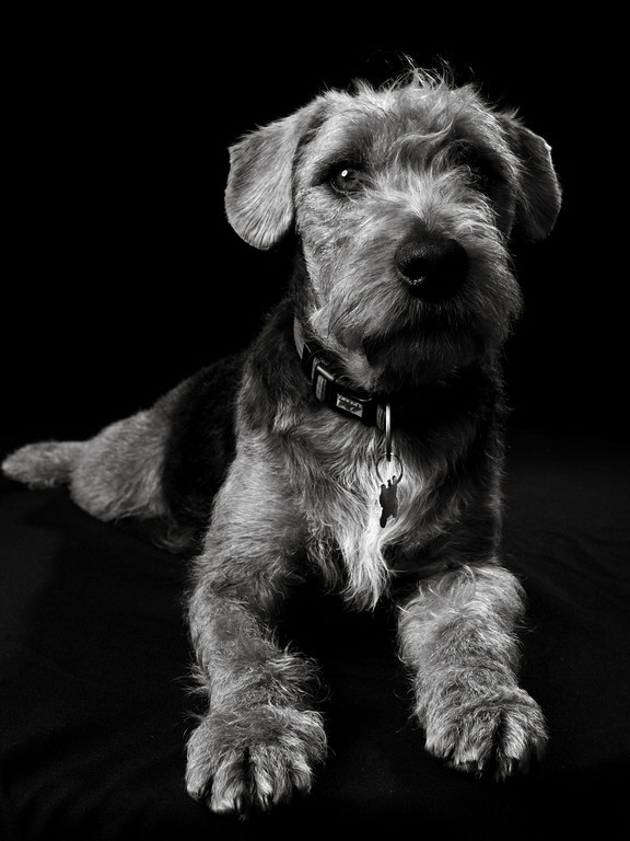 IMG3983-1b-w-XL.jpg