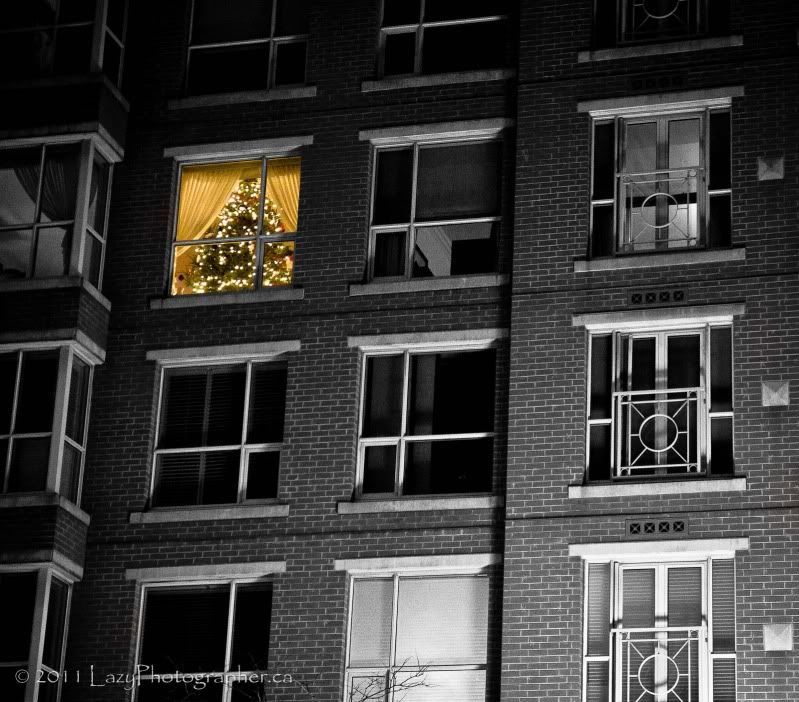 XmasNightWalk-78-EDITED.jpg